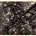 Adventure Centre History - 061.jpg