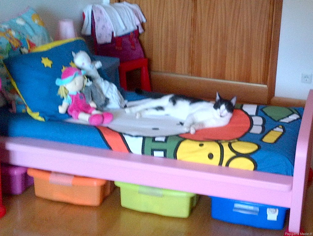 [IMG_00000349%255B7%255D.jpg]