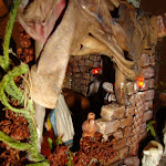 1514-9.JPG
