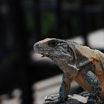 DSC_8809.JPG