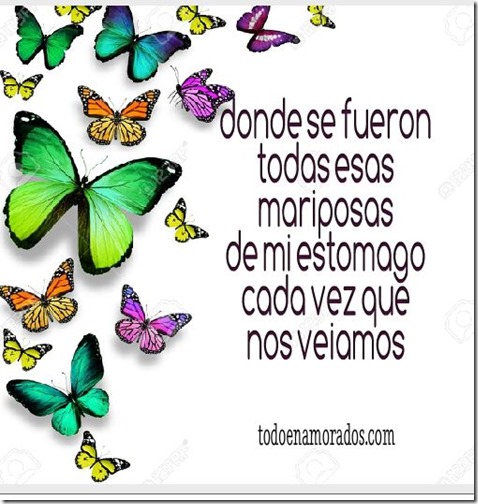 mariposas q mariposas q