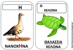 ΖΩ12 ΖΩ12
