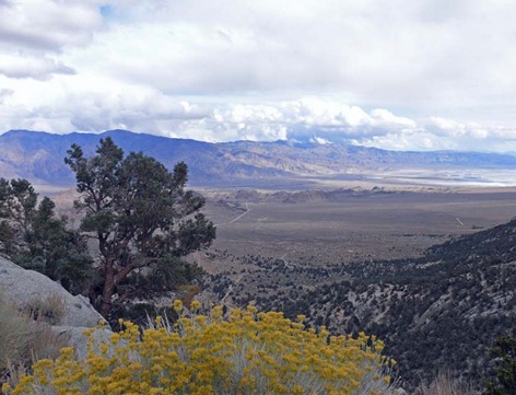 Owens Valley View