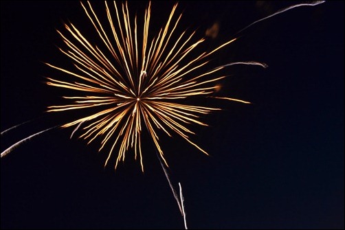 firework07