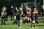 RCDwingeloo/De Wrotters - Alkmaar (29-0) 2011-10-23