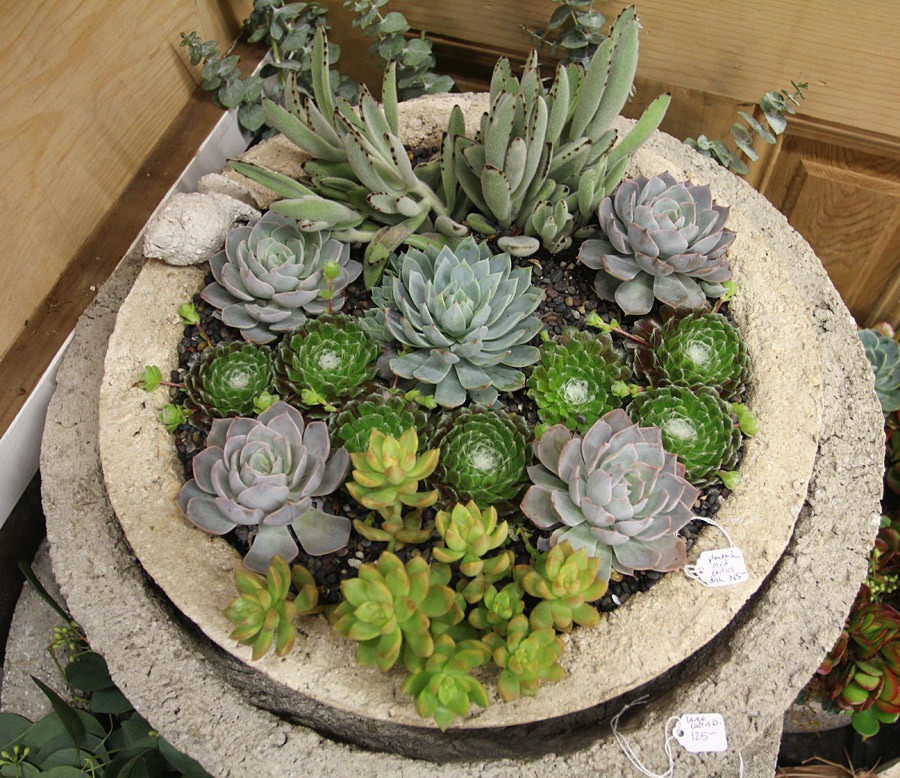 [120321_SF_Flower%252BGarden_Show_Urban_Farm_Girls_02%255B4%255D.jpg]