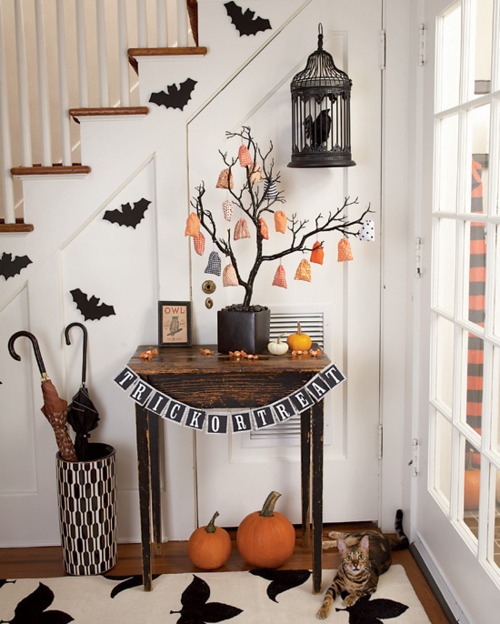 Halloween_11_04 Halloween_11_04