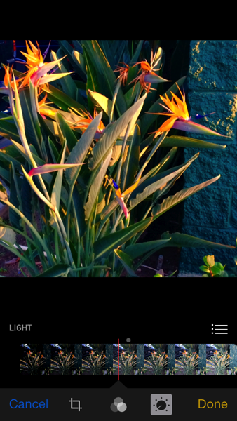 iOS 8 photos app Light