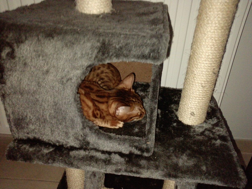 [P1717_14-02-13%255B4%255D.jpg]