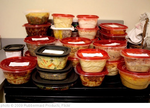 Introduction to Food Storage Containers
