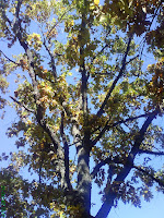 DSC00152.JPG