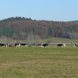 Singen in Thüringen - P1060556.JPG