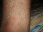 DSCF5484.JPG