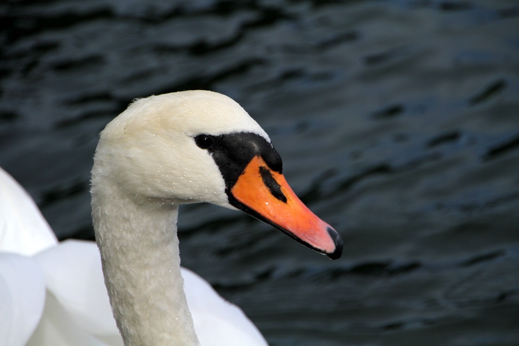 [IMG_9328%255B5%255D.jpg]