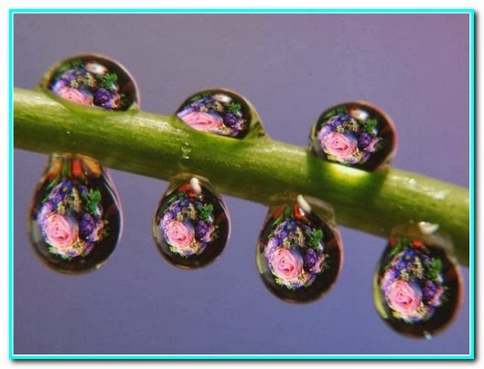 [Gotas%2520de%2520bom%2520humor%255B5%255D.jpg]