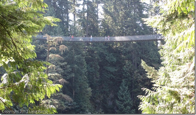The bridge The bridge