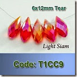 T1CC9 copy