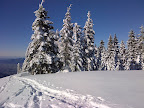 Elk Mountain