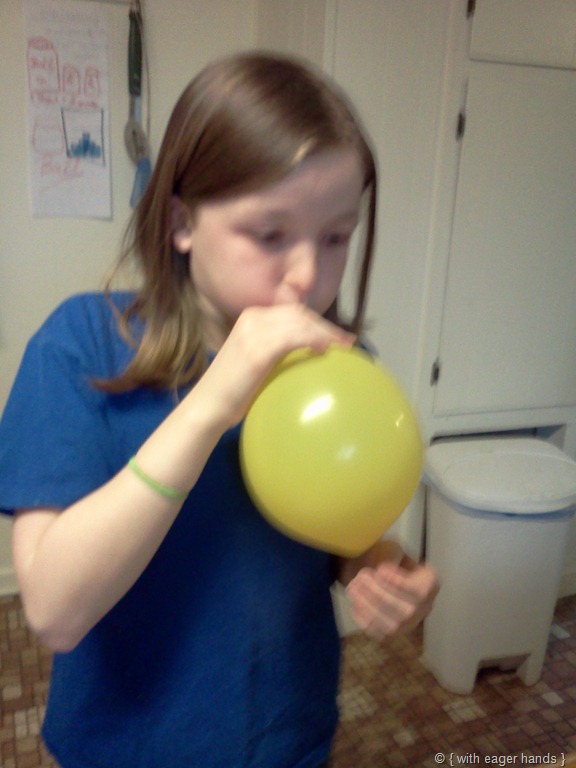 [IMG_20120214_084427%255B14%255D.jpg]