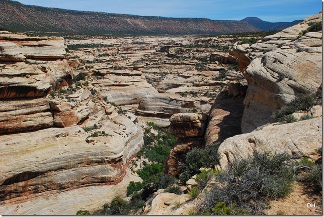 05-17-14 B Natural Bridges NM (54)