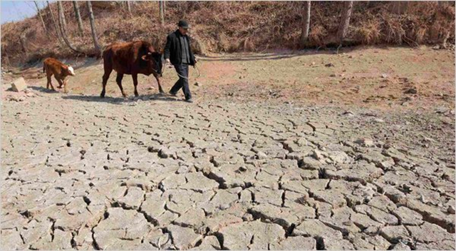 A Chinese farmer on dessicated farmland on the outskirts of Rizhao, Shandong Province, in January 2011. The United Nations’ food agency has issued an alert warning that a severe drought was threatening the wheat crop in China, the world’s largest wheat producer, and resulting in shortages of drinking water for people and livestock. Reuters