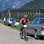 IMG_3786.jpg