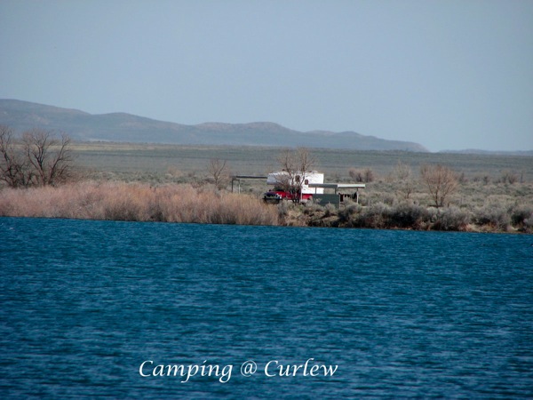 3 camping  curlew