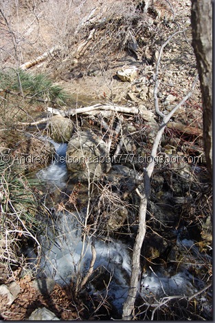 DSC_0978 DSC_0978
