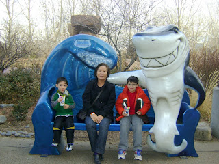 Michiko with the boys at the Denver aquarium