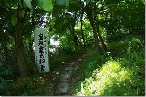 IMGP1784 IMGP1784