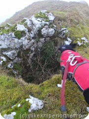 hole on barnarm scar