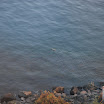 hokkaido_277.jpg