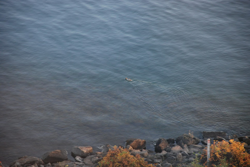 hokkaido_277.jpg