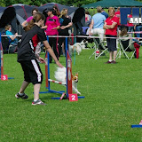 IMGP6945.JPG