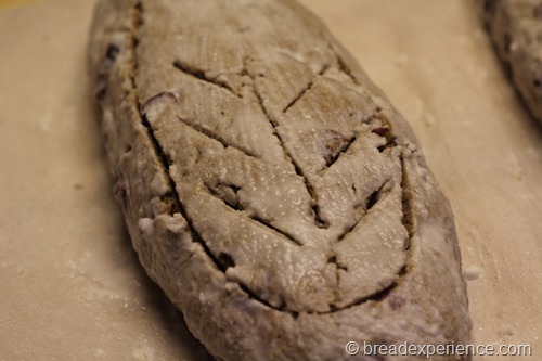 [hutzelbrot_20632%255B2%255D.jpg]