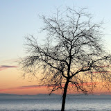 Feb 04 007.jpg