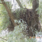 DSCN9689.JPG