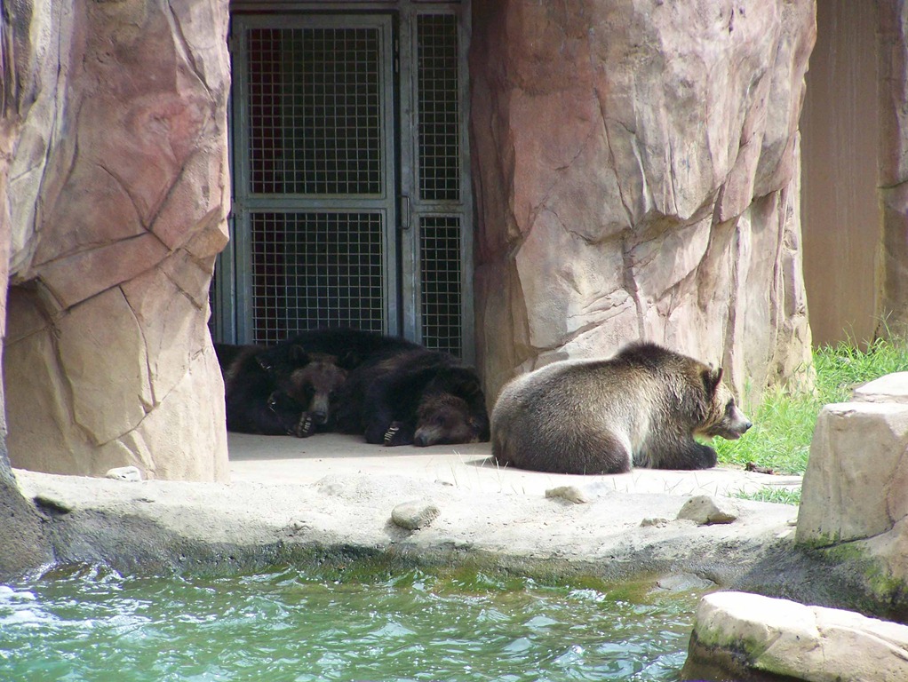 [Zoo83.jpg]