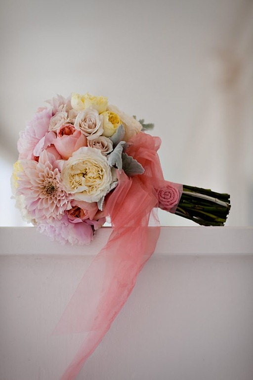 [JasmineStar010-adorations-blog4.jpg]