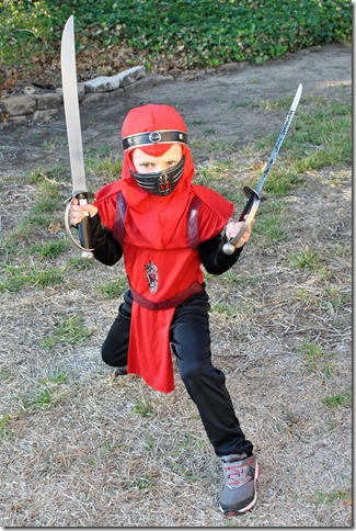 ninja