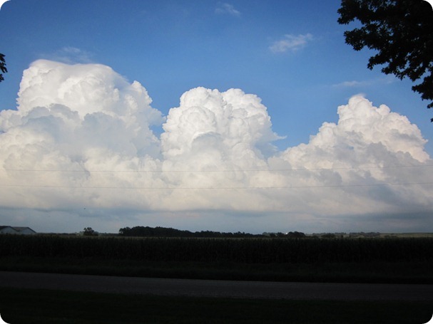 spainish-ish meal, clouds, pincushions 037