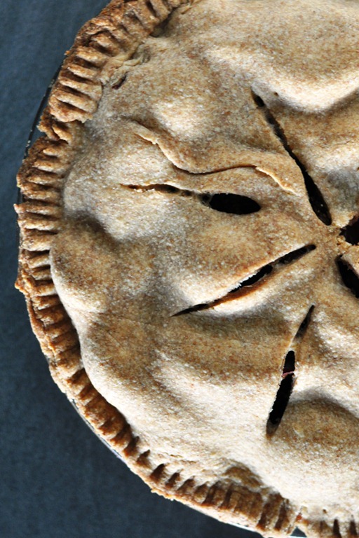 [DSC_1488%255B10%255D.jpg]