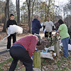 Handing out free tree seedlings