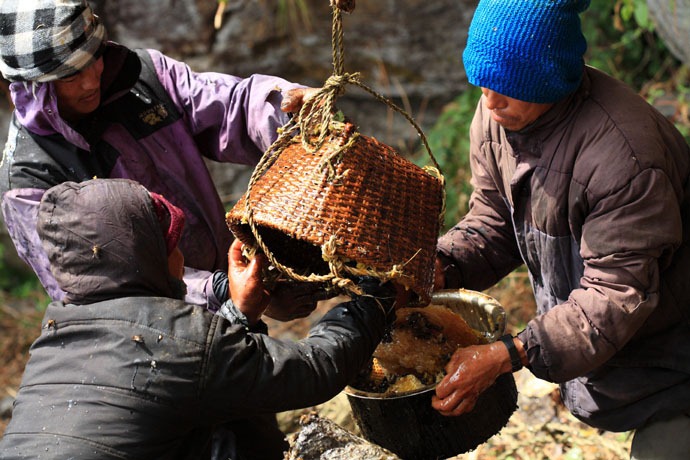 طريق جمع  العسل في النيبال Honey-hunters-nepal-31%5B4%5D