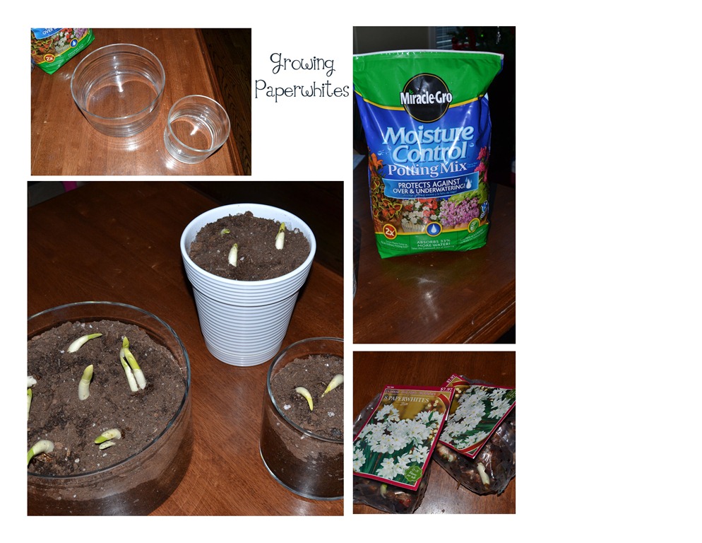 [Sugar%2520Scrub-001%255B4%255D.jpg]
