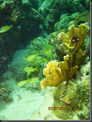 IMG_1162 IMG_1162