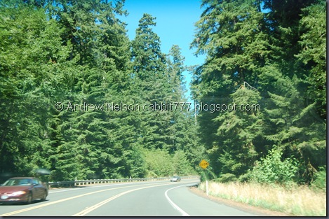 DSC_0963 DSC_0963