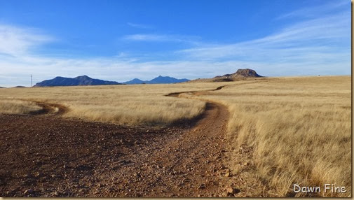 San Rafael Grasslands_001