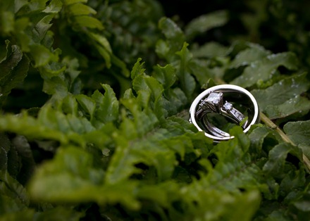 IMG_2298 IMG_2298