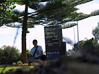 It's a hot afternoon, and I am here in Auckland Zoo.